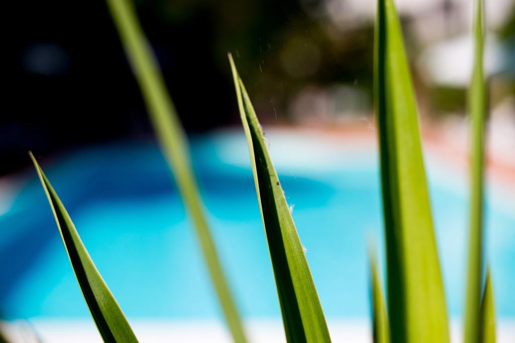 Hotel Le Rocce Magione Luaran gambar